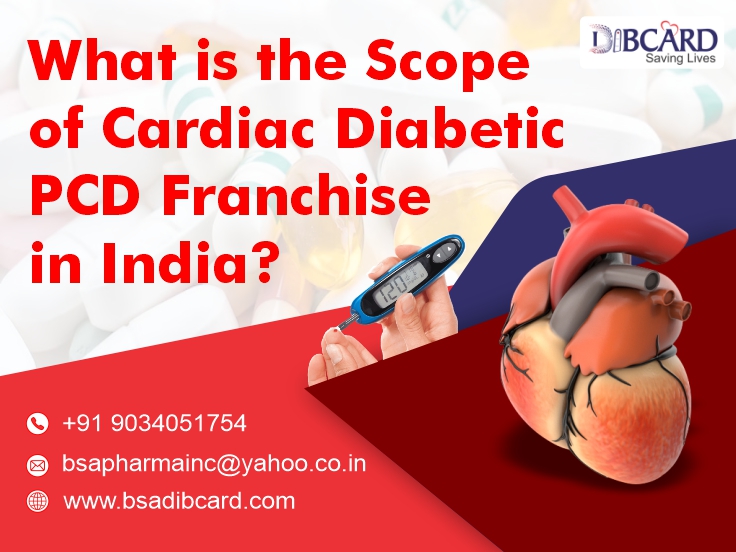 citriclabs | What is Scope of Cardiac Diabetic PCD Franchise in India?